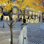 ヒメ日記 2025/01/30 12:42 投稿 ひなの 人妻倶楽部 内緒の関係 川越店