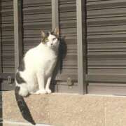 ヒメ日記 2025/02/15 12:24 投稿 ひなの 人妻倶楽部 内緒の関係 川越店