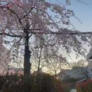 ヒメ日記 2025/04/06 21:04 投稿 ひなの 人妻倶楽部 内緒の関係 川越店