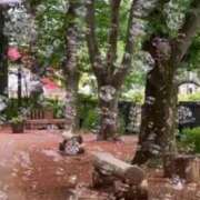 ヒメ日記 2025/05/30 06:14 投稿 ひなの 人妻倶楽部 内緒の関係 川越店