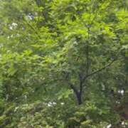 ヒメ日記 2025/06/17 05:34 投稿 ひなの 人妻倶楽部 内緒の関係 川越店