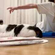 ヒメ日記 2025/10/10 13:14 投稿 ひなの 人妻倶楽部 内緒の関係 川越店