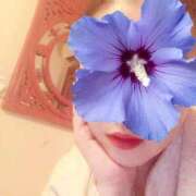 ヒメ日記 2025/08/09 11:37 投稿 ほのか 海上空天 SHANGHAI HEAVEN