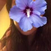 ヒメ日記 2025/09/27 13:34 投稿 ほのか 海上空天 SHANGHAI HEAVEN