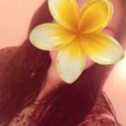 ヒメ日記 2025/10/10 11:18 投稿 ほのか 海上空天 SHANGHAI HEAVEN