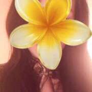 ヒメ日記 2025/10/11 12:11 投稿 ほのか 海上空天 SHANGHAI HEAVEN