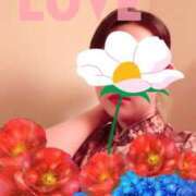 ヒメ日記 2026/01/19 14:35 投稿 ほのか 海上空天 SHANGHAI HEAVEN