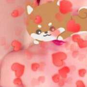 ヒメ日記 2026/02/09 09:30 投稿 ほのか 海上空天 SHANGHAI HEAVEN