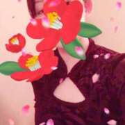 ヒメ日記 2026/03/13 12:27 投稿 ほのか 海上空天 SHANGHAI HEAVEN