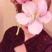 ヒメ日記 2026/03/22 11:25 投稿 ほのか 海上空天 SHANGHAI HEAVEN