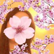 ヒメ日記 2026/03/24 03:11 投稿 ほのか 海上空天 SHANGHAI HEAVEN