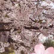 ヒメ日記 2026/04/07 12:49 投稿 ほのか 海上空天 SHANGHAI HEAVEN