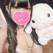 ヒメ日記 2026/02/28 19:25 投稿 ちょこ IRIS(岐阜)