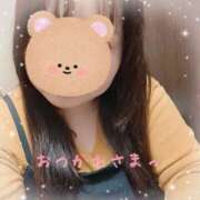 ヒメ日記 2024/12/29 21:03 投稿 なの 新横浜ちゃんこ