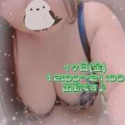 ヒメ日記 2025/01/16 15:04 投稿 なの 新横浜ちゃんこ