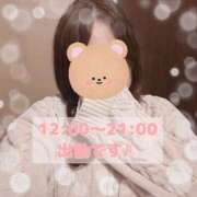 ヒメ日記 2025/02/13 11:13 投稿 なの 新横浜ちゃんこ