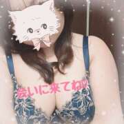 ヒメ日記 2025/02/23 13:43 投稿 なの 新横浜ちゃんこ