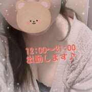 ヒメ日記 2025/02/25 11:03 投稿 なの 新横浜ちゃんこ