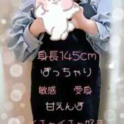 ヒメ日記 2025/03/14 18:43 投稿 なの 新横浜ちゃんこ