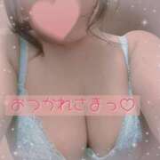 ヒメ日記 2025/03/17 20:53 投稿 なの 新横浜ちゃんこ