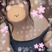 ヒメ日記 2025/04/11 12:13 投稿 なの 新横浜ちゃんこ