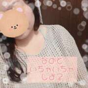 ヒメ日記 2025/04/28 12:23 投稿 なの 新横浜ちゃんこ