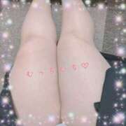 ヒメ日記 2025/04/30 18:23 投稿 なの 新横浜ちゃんこ