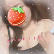 ヒメ日記 2025/04/30 21:13 投稿 なの 新横浜ちゃんこ