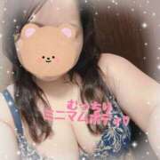 ヒメ日記 2025/05/01 12:23 投稿 なの 新横浜ちゃんこ