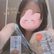 ヒメ日記 2025/05/01 13:55 投稿 なの 新横浜ちゃんこ