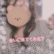 ヒメ日記 2025/06/23 17:03 投稿 なの 新横浜ちゃんこ