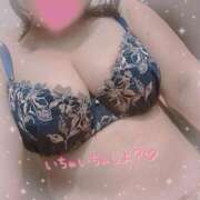 ヒメ日記 2025/08/29 10:43 投稿 なの 新横浜ちゃんこ