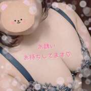 ヒメ日記 2025/08/29 12:13 投稿 なの 新横浜ちゃんこ