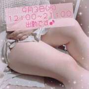 ヒメ日記 2025/09/01 21:33 投稿 なの 新横浜ちゃんこ