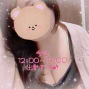 ヒメ日記 2025/11/30 11:03 投稿 なの 新横浜ちゃんこ