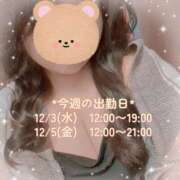 ヒメ日記 2025/12/03 11:03 投稿 なの 新横浜ちゃんこ