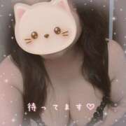 ヒメ日記 2025/12/29 16:23 投稿 なの 新横浜ちゃんこ