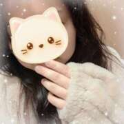 なの *21:00まで☆* 新横浜ちゃんこ