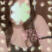 ヒメ日記 2026/02/16 12:30 投稿 なの 新横浜ちゃんこ