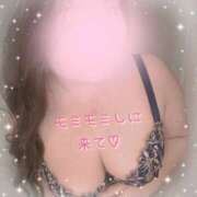 ヒメ日記 2026/03/13 18:13 投稿 なの 新横浜ちゃんこ