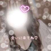 ヒメ日記 2026/03/23 12:19 投稿 なの 新横浜ちゃんこ