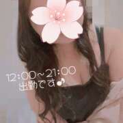 ヒメ日記 2026/03/24 11:13 投稿 なの 新横浜ちゃんこ