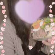 ヒメ日記 2026/03/24 12:23 投稿 なの 新横浜ちゃんこ