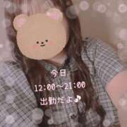 ヒメ日記 2026/04/14 11:03 投稿 なの 新横浜ちゃんこ