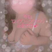 ヒメ日記 2026/04/23 11:13 投稿 なの 新横浜ちゃんこ