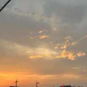 ヒメ日記 2025/06/25 23:37 投稿 りん 奥様なでしこ