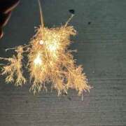 ヒメ日記 2025/08/29 17:06 投稿 りん 奥様なでしこ