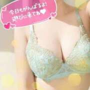 ヒメ日記 2025/02/05 02:43 投稿 大塚せな 大人のエッチなエステ