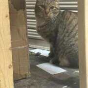 ヒメ日記 2026/03/06 14:18 投稿 大塚せな 大人のエッチなエステ