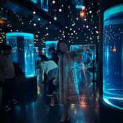 ヒメ日記 2025/03/24 08:00 投稿 すずらん 奥鉄オクテツ東京店（デリヘル市場）